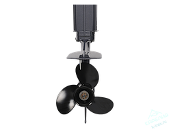 Лодочный мотор ALLFA CG T30FWS