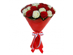 17 красно-белых роз (70 см.)
