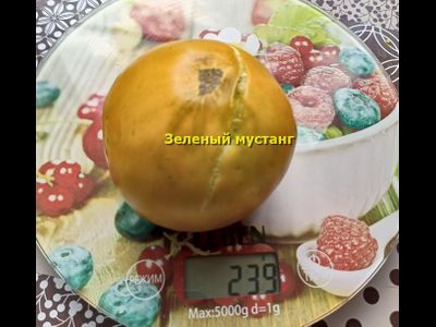 Томат Зеленый мустанг (Green Mustang)