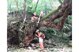 квест на природе Большой каньон