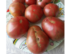 Томат Гном Малиновая нерка (Dwarf Crimson Sockeye)