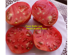 Томат Бубль гам (Жевательная резинка, (Dwarf Bubble Gum) США