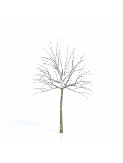 зимние Дерево зимнее 8