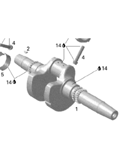Коленчатый вал (коленвал) оригинальный BRP 420819355 для BRP LYNX/Ski-Doo Rotax V800 (2007-2012)
