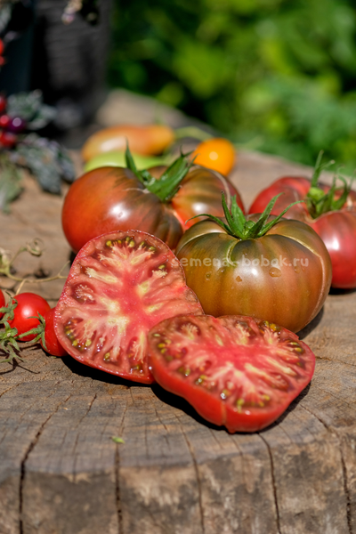 Томат Elbonian Mudball (Комок земли), 10 шт