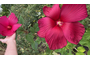 F9544089-ECB2-483E-88F8-89D032F54397.jpeg