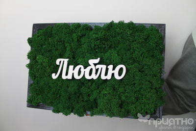 ЖИВАЯ ЭКО-КАРТИНА 1056