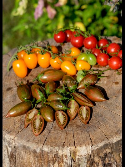 Томат Purple smaragd (Фиолетовый изумруд), 10 шт