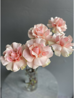 РОЗОВЫЕ РОЗЫ