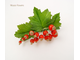 Заколка-автомат с красной смородиной .
