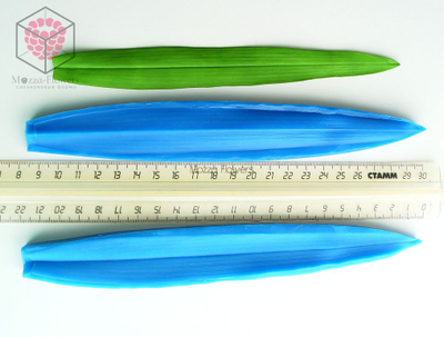 "Орхидея Камбрия" набор вайнеров и каттеров