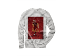 Свитшот Ливерпуль, Liverpool FC №2