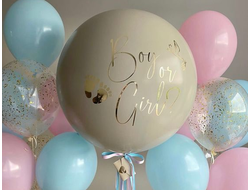 Гендер пати