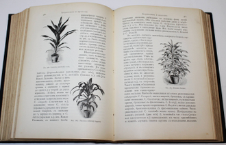 Гесдерфер М. Комнатное садоводство. СПб.: Изд. А.Ф.Девриена, 1904.