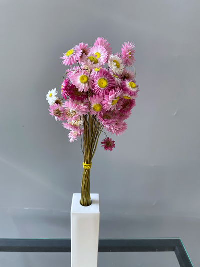 Акроклинум