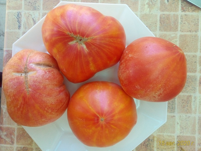 Томат Желто-розовый бабушки Виней (Grandma Viney’s Yellow and Pink, США)