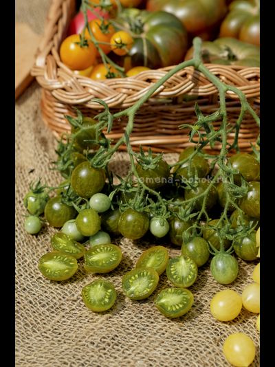 Томат Sister keyes (Систер Киз), 10 шт