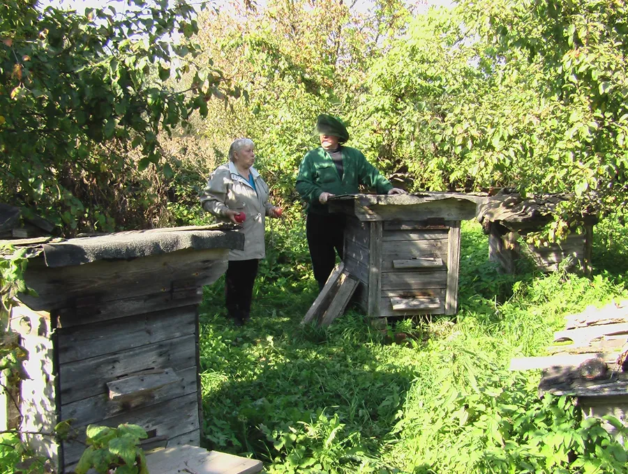 Благодаря родителям пасека была сохранена