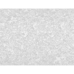 ШМС019 Столешница Белый королевский жемчуг - 63.