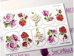 3D Слайдер-дизайн - 114 - Розы