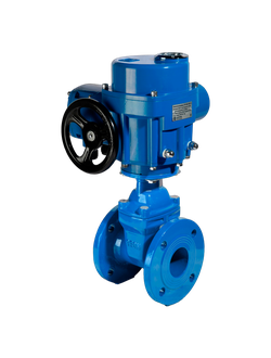 Задвижка чугунная с обрезиненным клином RSV61 DN65 PN10/16 с электроприводом 220В