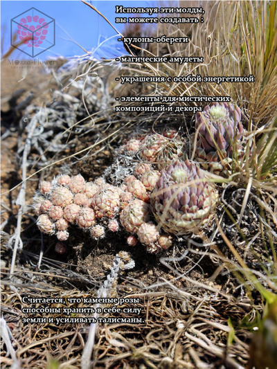 Набор силиконовых молдов "Каменные розы Аркаима"