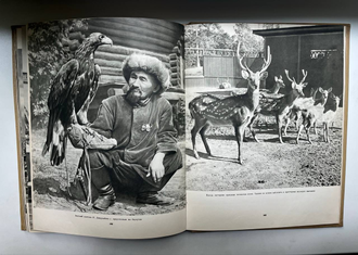 Всесоюзная сельскохозяйственная выставка. Фотоальбом