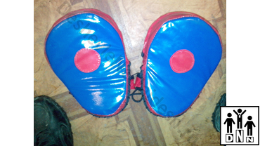 Боксёрские лапы / тайские пэды