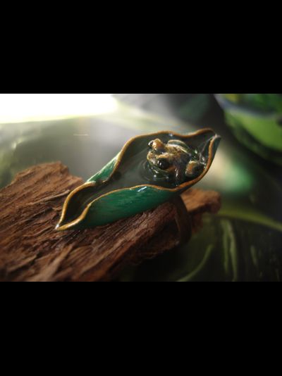 "После дождя", необычное кольцо с тропической лягушкой