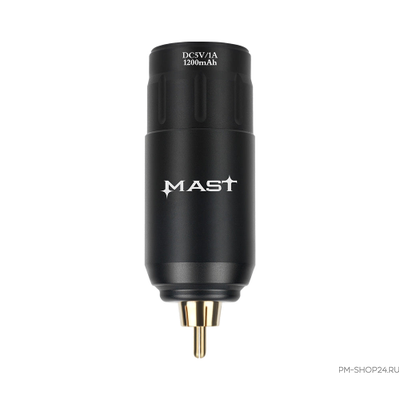 Аккумулятор MAST U1 RCA