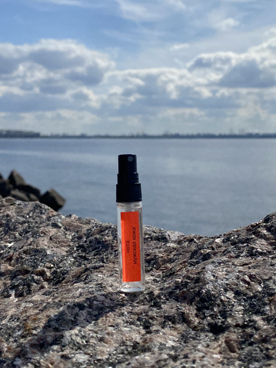 Духи НОТА: МУЖСКАЯ КОЖА 5,5 мл