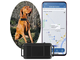 GPS трекер ошейник для животных TKSTAR TK919 4G