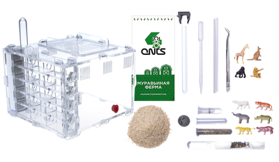 Комплект муравьиной фермы 4ants Crystal L 3.0  с муравьями Messor Structor
