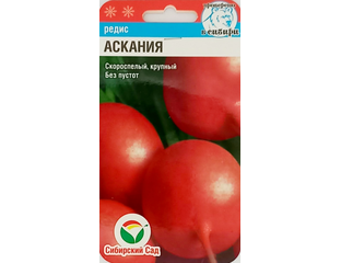 Редис Аскания (Сибирский сад) купить семена с бесплатной доставкой