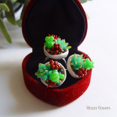 Комплект "Загадочные суккуленты". ЕСТЬ В НАЛИЧИИ.