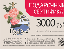 Сертификат 3000 (интернет-магазин)