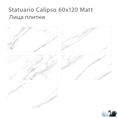 Керамогранит Staro Silk Statuario Calipso 60х120 см матовый