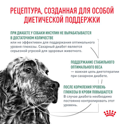 Royal Canin (Роял Канин) Diabetic сухой корм для собак при сахарном диабете, 1,5 кг