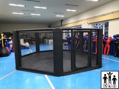 Ринг (клетка) для ММА напольная (диаметр 5 м без помоста) DNN