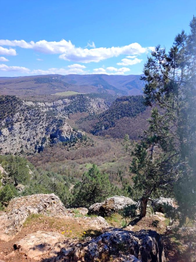 Чернореченский каньон, зима Крым