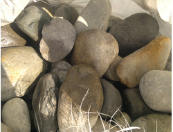 Голыш речной (Дагестан)