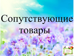 Сопутствующие товары