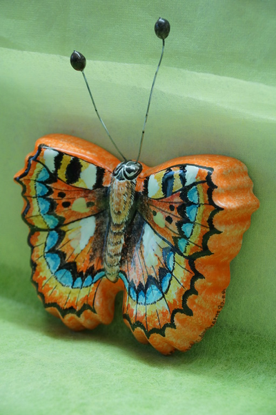 Бабочка малая