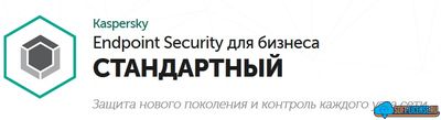 Kaspersky Endpoint Security для бизнеса СТАНДАРТНЫЙ - новая лицензия на 1 год, 25-49 пользователей ( KL4863RAPFS )