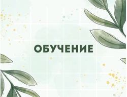 ОБУЧЕНИЕ