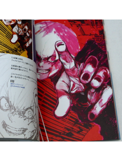 Оригинальный Арт Бук Tokyo Ghoul Zakki  (Токийский Гуль)