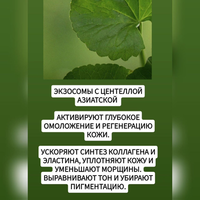 SLOWMENT Революционная маска "медленное старение" - лифтинг, омоложение и клеточный детокс 5шт.