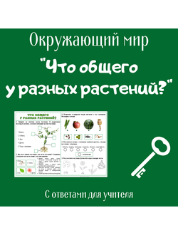 Рабочий лист. 1 класс. "Что общего у разных растений?"