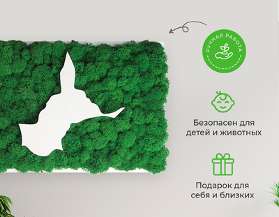 ЖИВАЯ ЭКО-КАРТИНА 1033