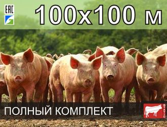 Электропастух СТАТИК-3М для свиней 100x100 метров - Удержит даже самого проворного поросенка!
